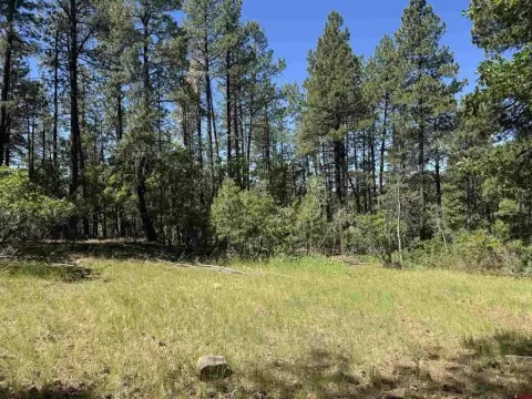 Mountain Building Lot