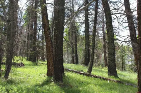 Mountain View Recreation Lot