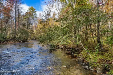 Riverfront Land in Tellico Plains