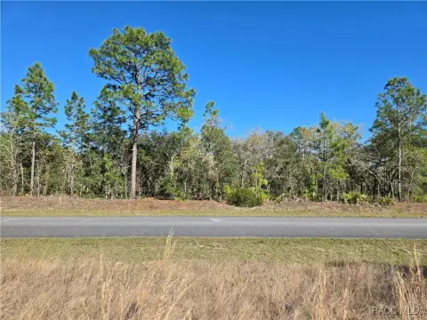 Citrus Springs Land For Sale