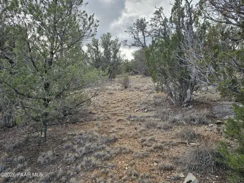 Treelined Desert Mountain Land Parcel