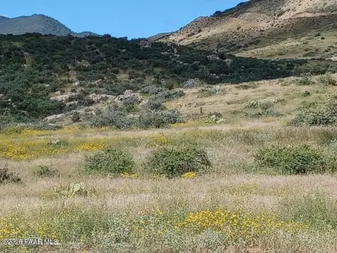 Scenic Land with Mountain Views