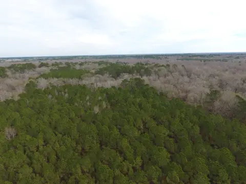 Timberland & Recreation Tract
