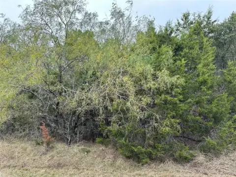 Land in White Bluff Community