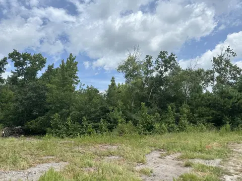 Wooded Hunting Land with Easement
