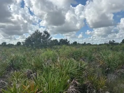 Okeechobee Land For Sale