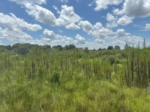 Okeechobee Land Near State Park