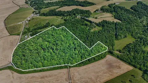 Heavily Wooded Recreational Land