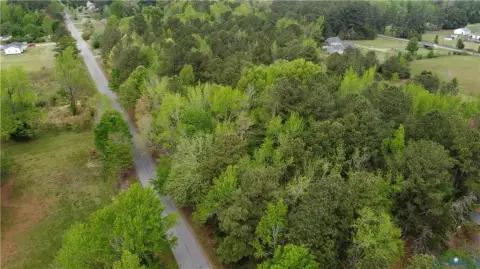 Amelia County Wooded Land