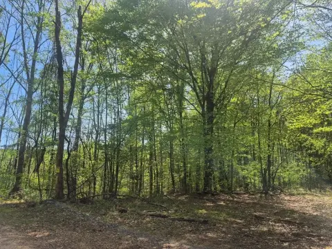 Recreational Land Parcel