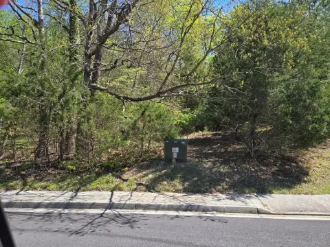 Residential Lot with Utilities