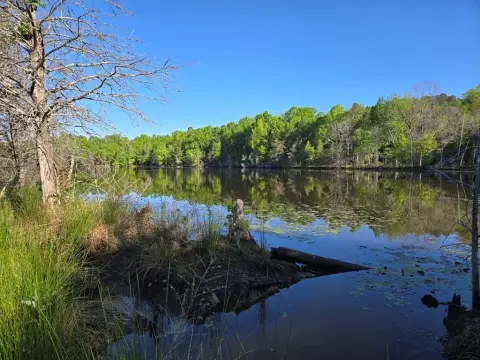 Waterfront Land with Two Lakes