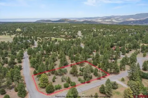 Level Homesite in Mountain Community