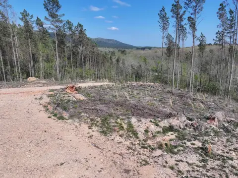 Arkansas Land with Creek Access