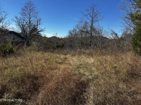 Tellico Plains Land For Sale