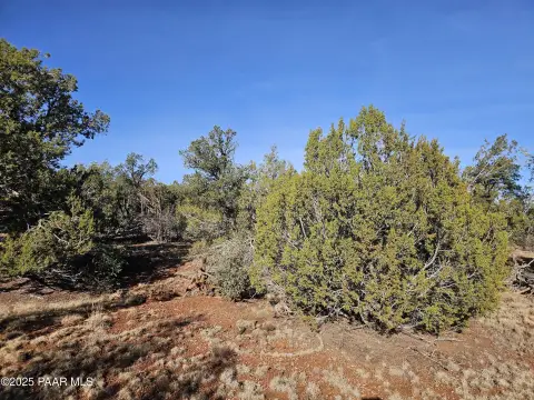 Undeveloped Land Backing State Land