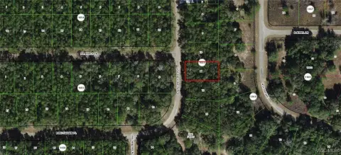 Citrus Springs Building Lot