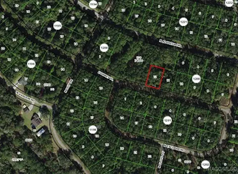 Citrus Springs Oversized Building Lot
