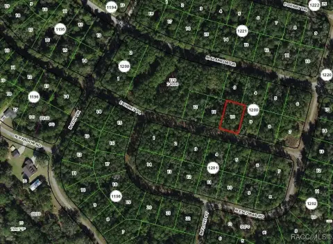 Citrus Springs Oversized Building Lot