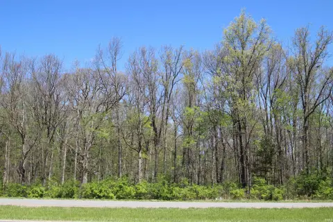 Wooded Land in Yorktown Schools