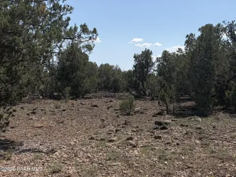 Wooded Rural Land Parcel