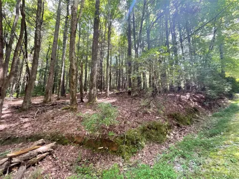 Wooded Lot in Connestee Falls