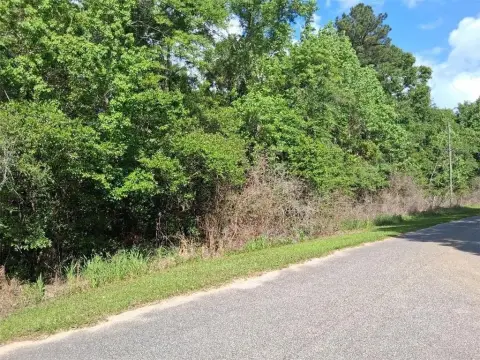 Wooded Lot in Wilmer, Alabama