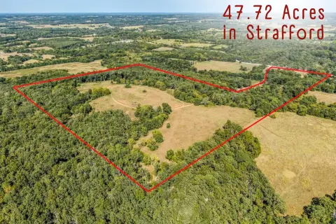47+ Acres of Strafford Land