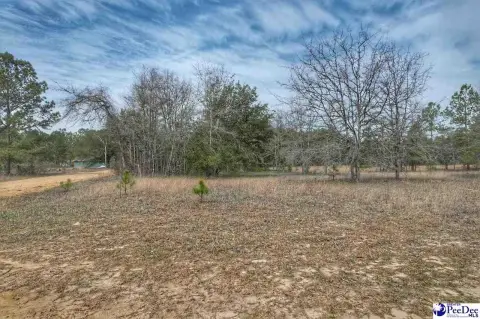 Expansive Acreage in Riverdale Community