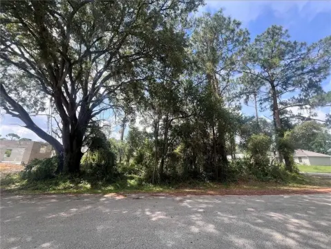 Vacant Land in Growing Sebring