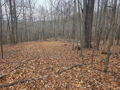 Wooded Homesite with Creek Bottom