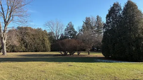 Residential Lot with Mature Trees