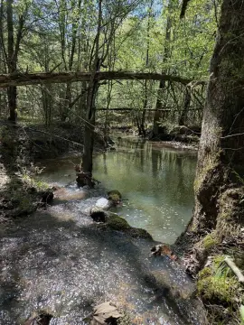 Sevier County Acreage Near Dequeen
