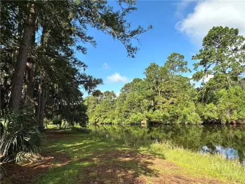 Lagoon Lot in Savannah, GA