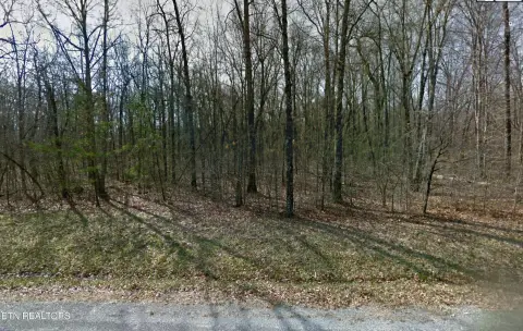 Land For Sale, Monterey, TN