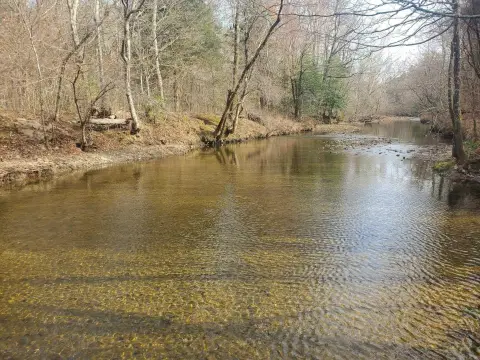 Wooded Waterfront Hunting Land