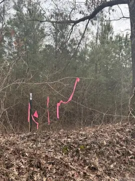 Jonesboro Acreage Near Lake Frierson