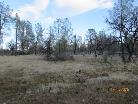 Mostly Level Farmland Parcel