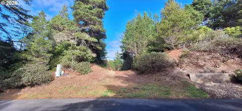 Residential Lot in Heceta South