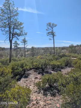 Show Low Acreage with Views