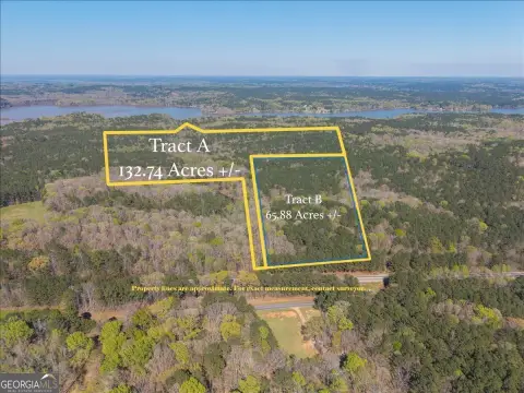 198 Acres of Pristine Land
