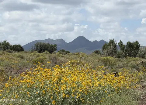 Mountain-View Land
