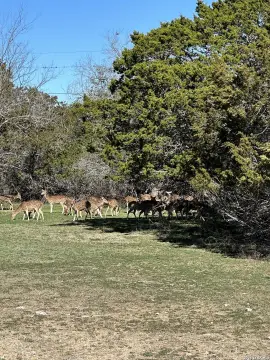 Residential Land Lot in Ranch Community