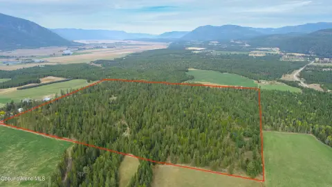 160-Acre Timbered Hunting Land