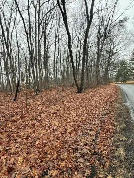 Wooded Land in Pamplin, VA