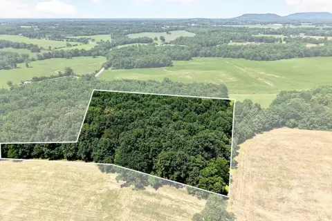 Approved 5-Bed Home Acreage