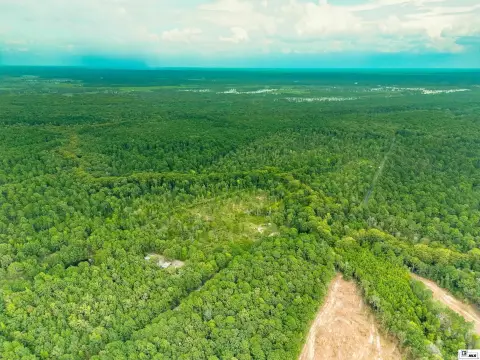 Recreational Land with Cypress Slough