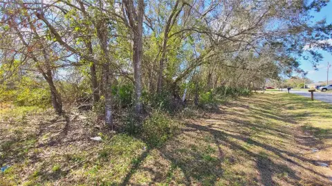 Residential Land in Kissimmee, FL