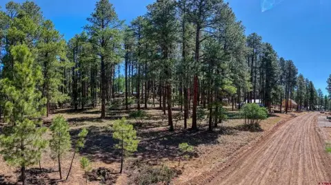 Build-Ready Residential Lot in Forest Lakes