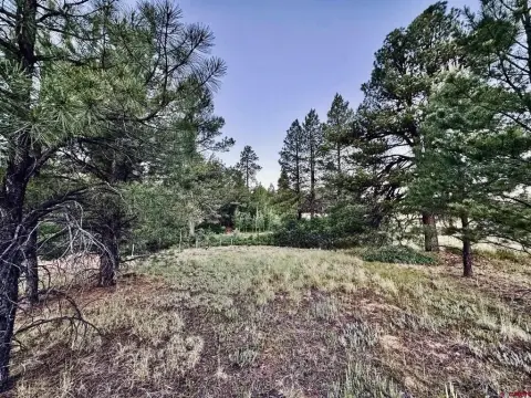 National Forest-Adjacent Mountain Homesite